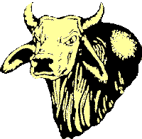 bull-logo-small.gif (3967 bytes)